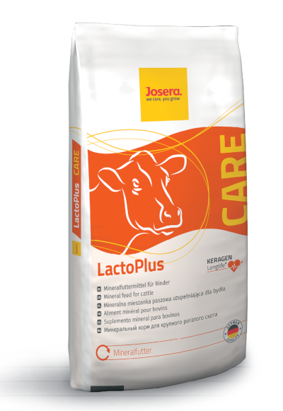 LactoPlus