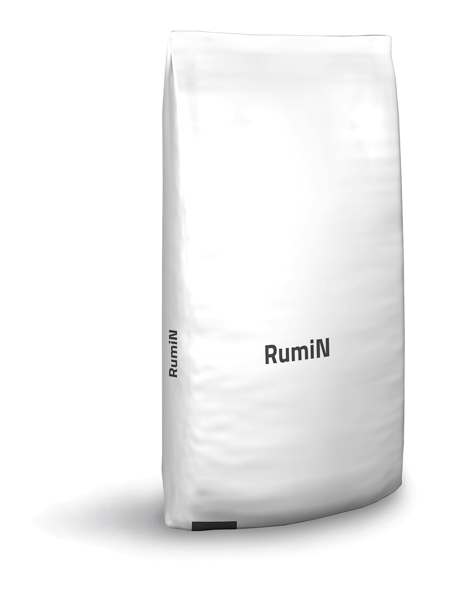 RumiN